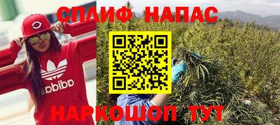 Альфа ПВП Кингисепп