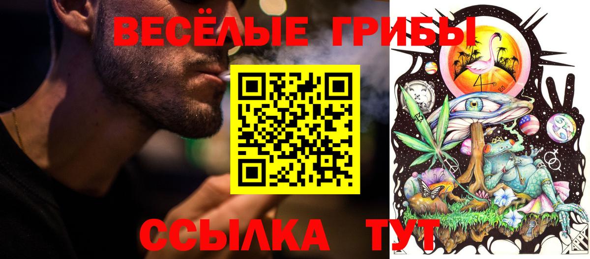 Галлюциногенные грибы Cubensis Балашов